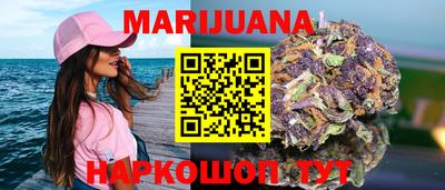 индика Бийск
