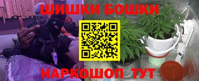 индика Бийск