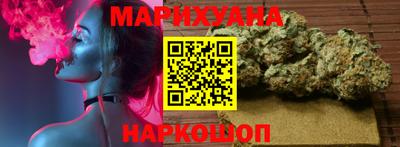 индика Бийск