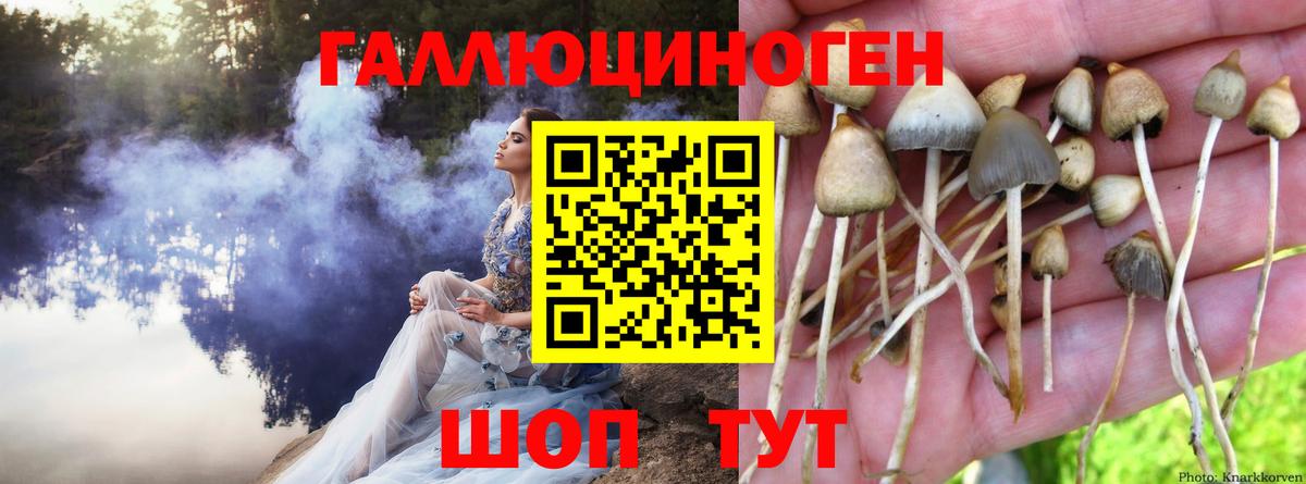 Йошкар-Ола  Галлюциногенные грибы прущие грибы  Вход с VPN 